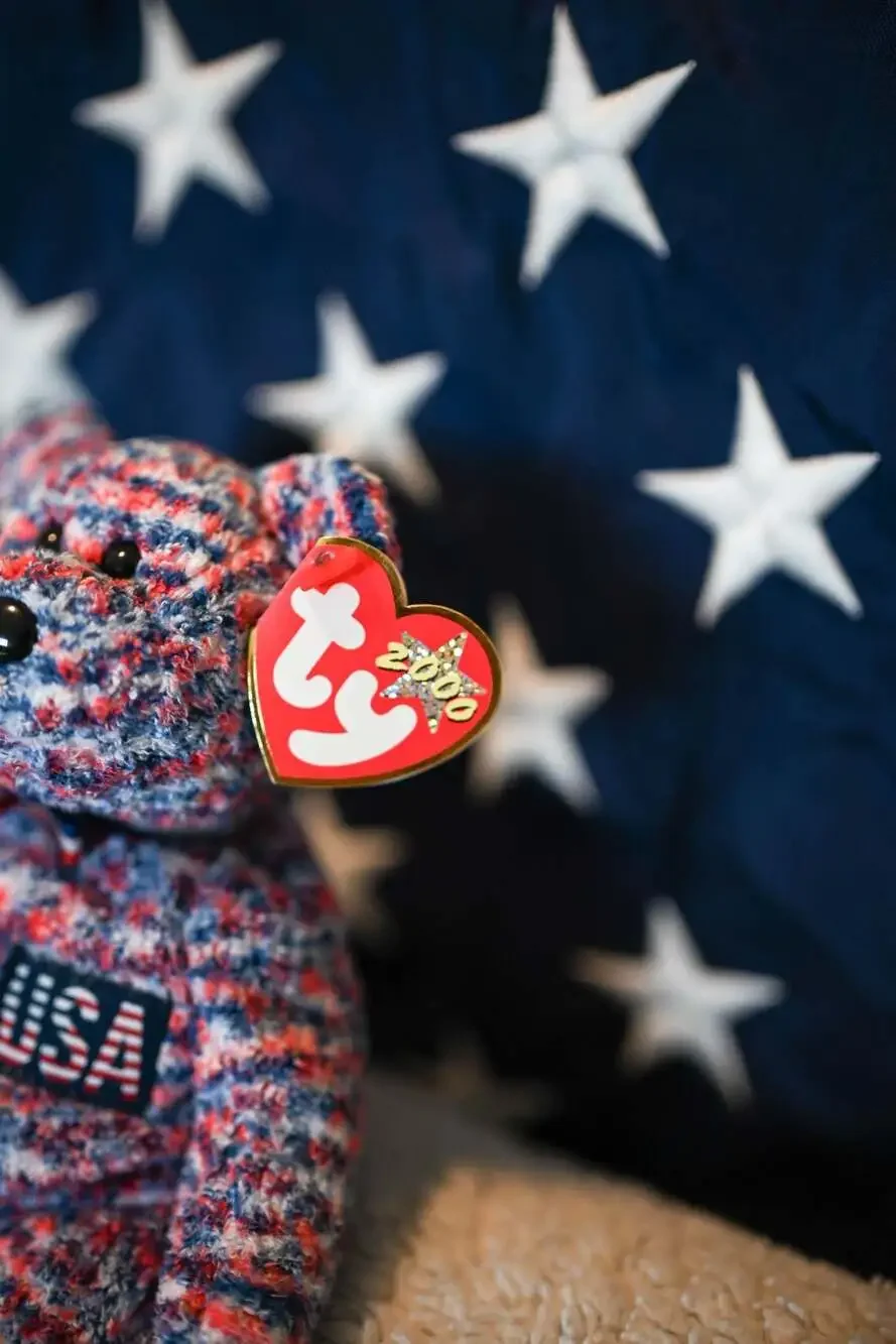 Ty Beanie Baby USA The Bear (2000) WITH TAG